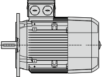 motor with standard flange